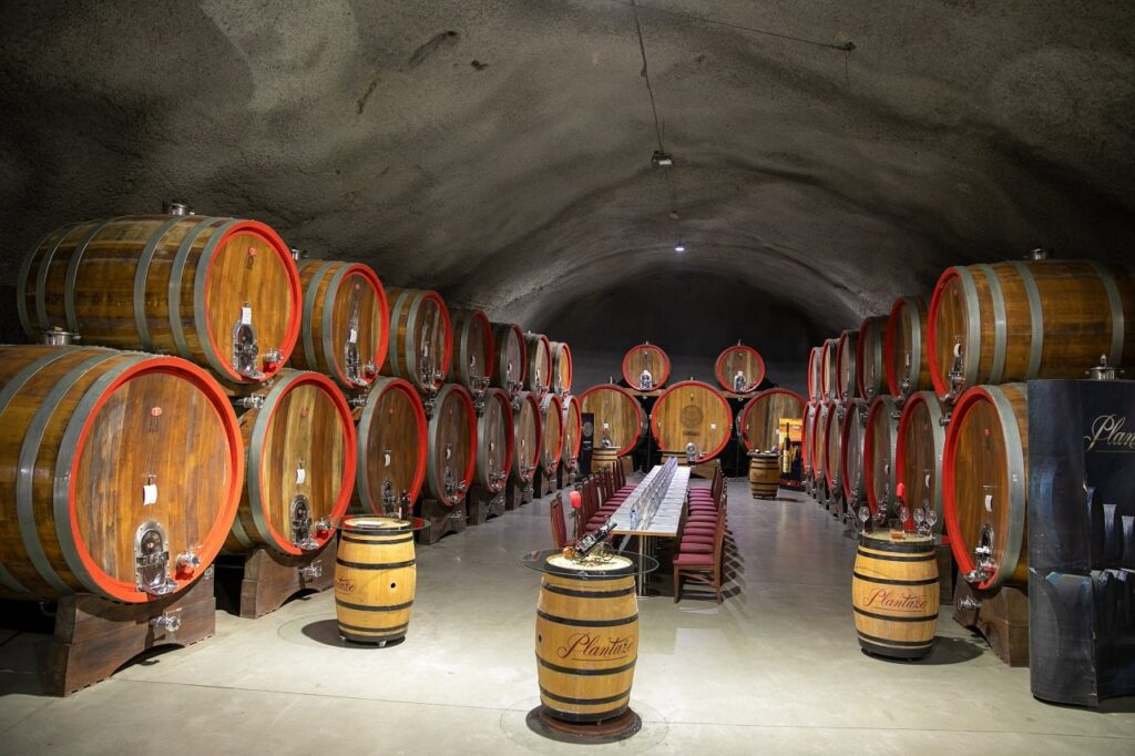 incentive travel czarnogóra, winiarnia